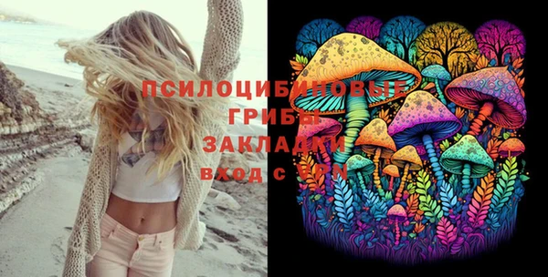 соль ск Алзамай